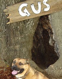 Custom Doghouse Sign