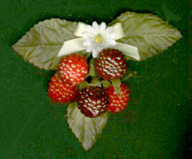 Berry Pins & Hairclips