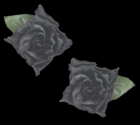 Pair of Black Rose Hairpins