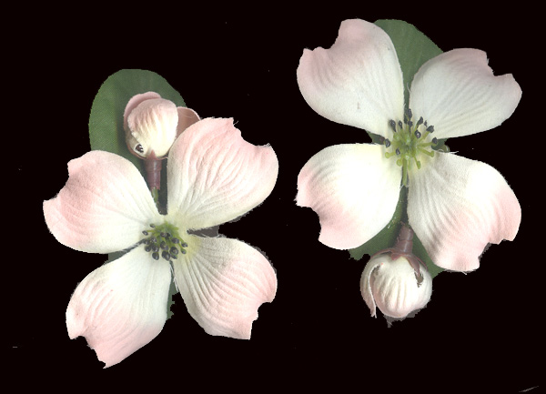 Pink Blossom Hair Clips