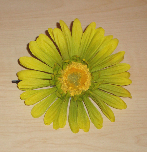 Green Gerber Daisies