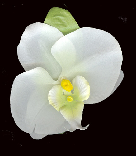 Orchid Hair Clips