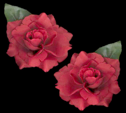 Pair of Red Rose Hairpins