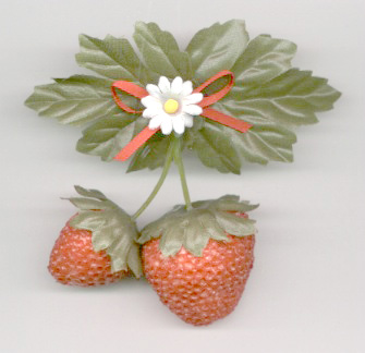 Strawberry Pins & HairClips